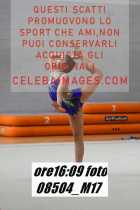 08504_M17-