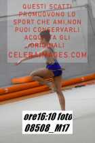 08508_M17-