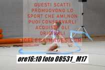 08531_M17-