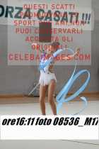 08536_M17-