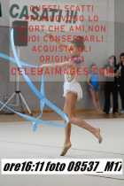 08537_M17-