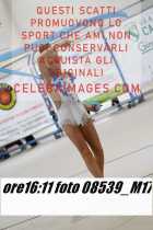 08539_M17-