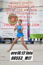 08553_M17-