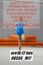 08556_M17-
