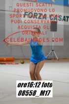 08558_M17-