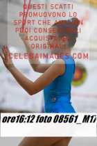08561_M17-