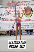 08586_M17-
