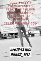 08590_M17-