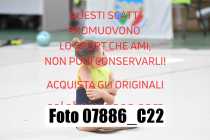 07886_C22