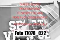 17078_C22