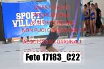 17183_C22