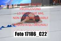 17186_C22