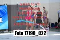 17190_C22