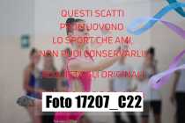 17207_C22