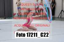17211_C22