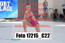 17215_C22
