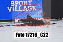 17216_C22