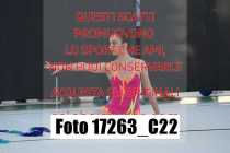 17263_C22