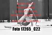 17265_C22