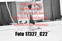 17327_C22