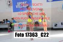 17363_C22