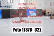 17376_C22