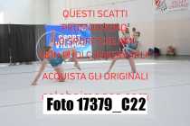 17379_C22