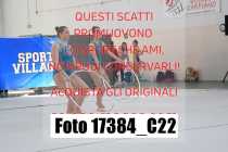 17384_C22