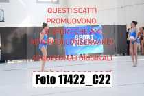 17422_C22