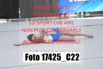 17425_C22