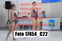 17454_C22