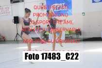 17483_C22