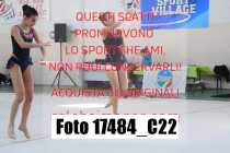 17484_C22