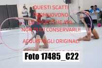 17485_C22