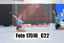 17510_C22