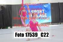 17539_C22
