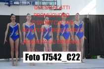 17542_C22