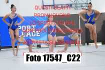 17547_C22