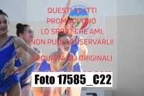 17585_C22