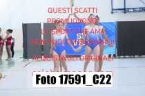 17591_C22
