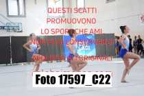 17597_C22