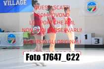 17647_C22