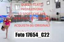 17654_C22