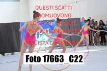 17663_C22