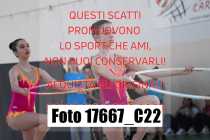 17667_C22
