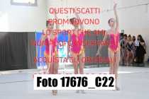 17676_C22