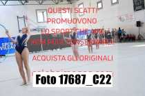 17687_C22