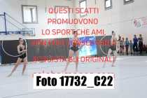 17732_C22
