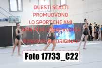 17733_C22