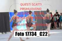 17734_C22